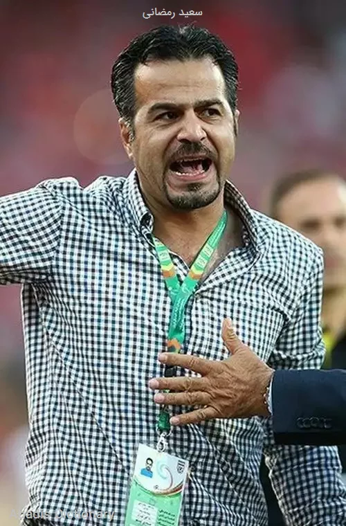 سعید رمضانی
